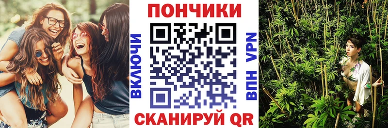 Канабис THC 21%  Купить закладки  Чита 
